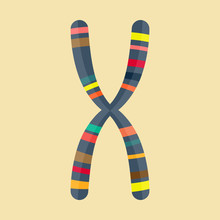Abstract Illustration Of Chromosome In Modern Flat Design