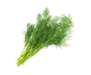 Wall Mural - Fresh fennel