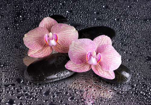 Naklejka dekoracyjna Spa pebbles and pink orchids on wet