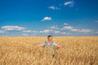 © Ryzhkov Oleksandr - farmer standing in a wheat field