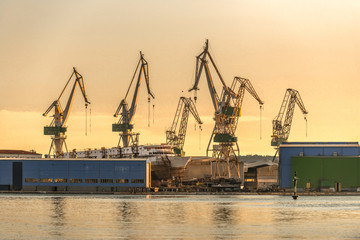  Industrial cargo cranes in the dock