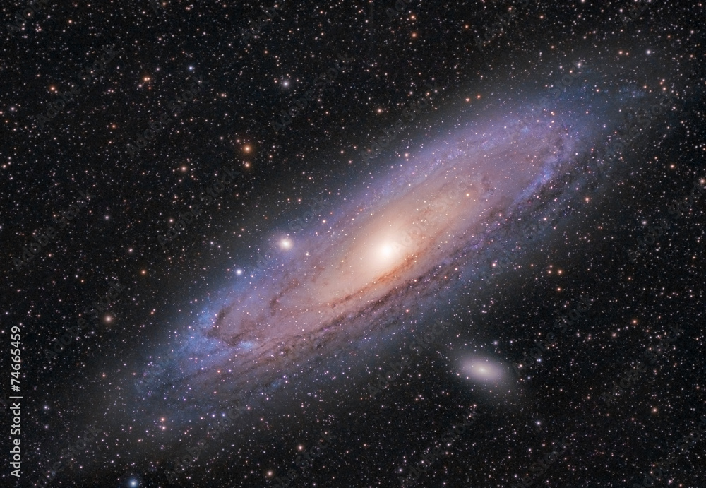 Andromeda Galaxy - obrazy, fototapety, plakaty 