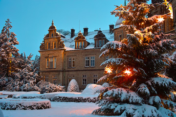 Plakat drzewa śnieg zamek renesans zimą