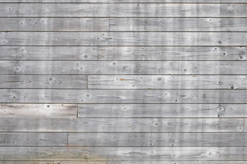 Wall Mural - Wood