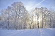 canvas print picture - Winter-Stimmung