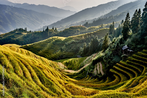 Foto rice terraced fields Wengjia longji Longsheng Hunan China