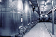 Stainless steel fermenters for wine, toned