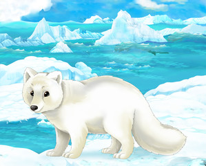 cartoon scene - arctic animals - arctic fox