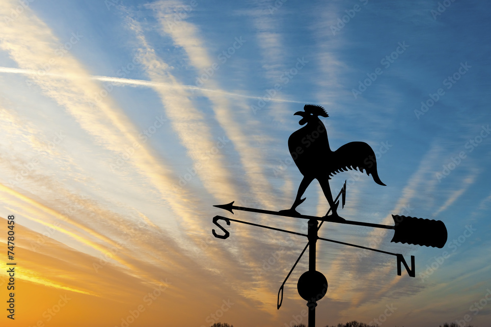 Weather vane is instrument showing direction of wind - obrazy, fototapety, plakaty 