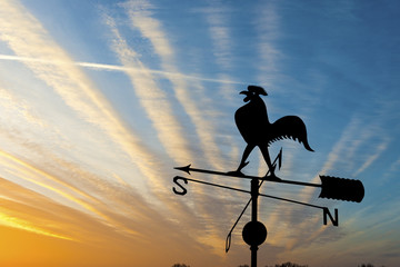 weather vane is instrument showing direction of wind