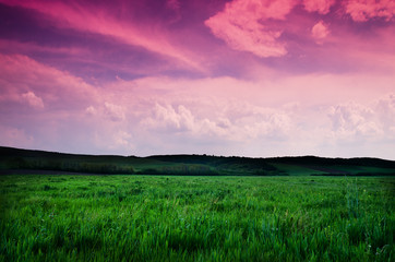 Canvas Print - night background