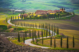Fototapeta Uliczki - Sunny fields in Tuscany, Italy