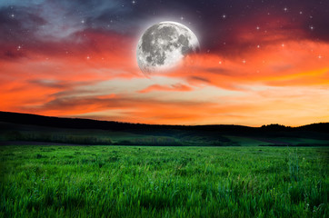 Wall Mural - Night background. Elements of this image furnished by NASA.