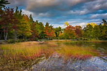 Autumn Color At Eagle Lake, In Acadia National Park, Maine.