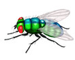 green fly white background