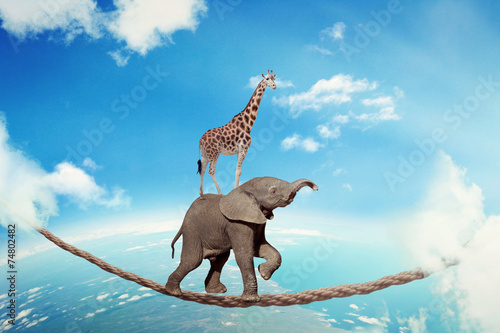 Fotografie, Obraz Managing risk business challenges uncertainty concept