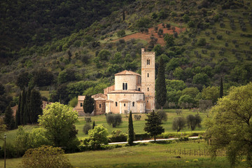 Wall Mural - Sant Antimo Montalcino church and olive tree. Orcia, Tuscany, It