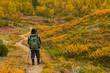 Autumnal hiker