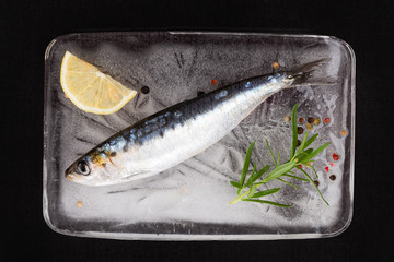 Sticker - Anchovy fish on ice.