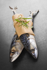 Canvas Print - Mackerel fish.