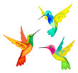 Stylized Hummingbirds