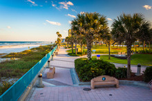Palm Trees And Walkway Along The Beach In Daytona Beach, Florida