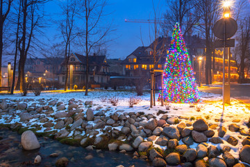 Christmas tree lights in the park, Zakopane in Poland