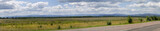 Fototapeta Sawanna - landscape view of the field, clouds and the road