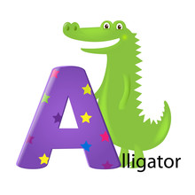Green Alligator With Letter A