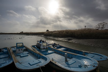 Boats Stationed In The Wetland In Suncheon, South Korea.