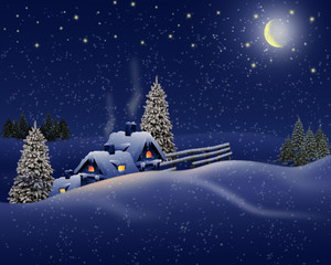 Night winter landscape .