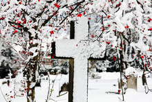 Snow Covered Cross