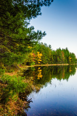 Autumn reflections in Long Pine Run Reservoir, in Michaux State