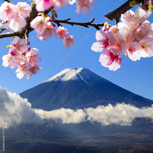 Obrazy Tokio  fudzi-i-kwiat-wisni