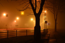 Road And Trees In Fog, European Winter, Street In Frosty Mist