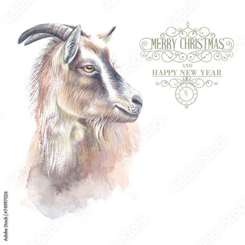 Fotografia  New year goat.
