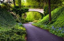 Woodland Path Under A Bridge At Longwood Gardens, Pennsylvania.