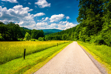 Farm field along a dirt road in the rural Potomac Highlands of W