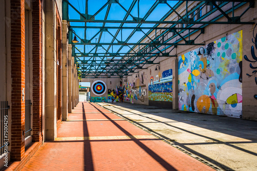 Cuadros en Lienzo Murals in Richmond, Virginia.