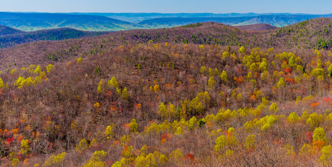 Sticker - Signs of spring in the Blue Ridge, seen from Skyline Drive in Sh