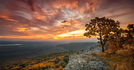 Wall Mural - magnificent view from a hill with an autumn forest at sunset