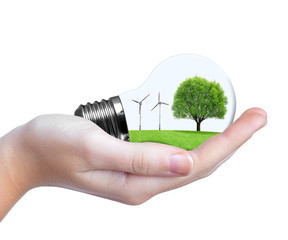 Wall Mural - eco bulb with wind turbines and tree in hand.