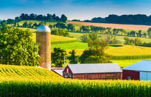 Barn And Silo On A Farm In Rural York County, Pennsylvania.