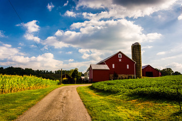 driveway and red barn in rural york county, pennsylvania.
