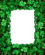 Clover Leaf Frame border