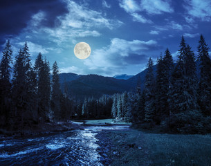 Wall Mural - Mountain river in pine forest at night