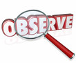 Observe 3d Word Magnifying Glass Examine Inspect Pay Attention