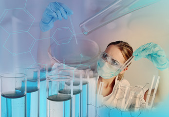 Wall Mural - Laboratory assistant making medical test in laboratory