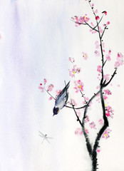 Fototapeta bird on a branch of sakura