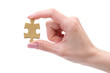 © ZaZa studio - puzzle in hand